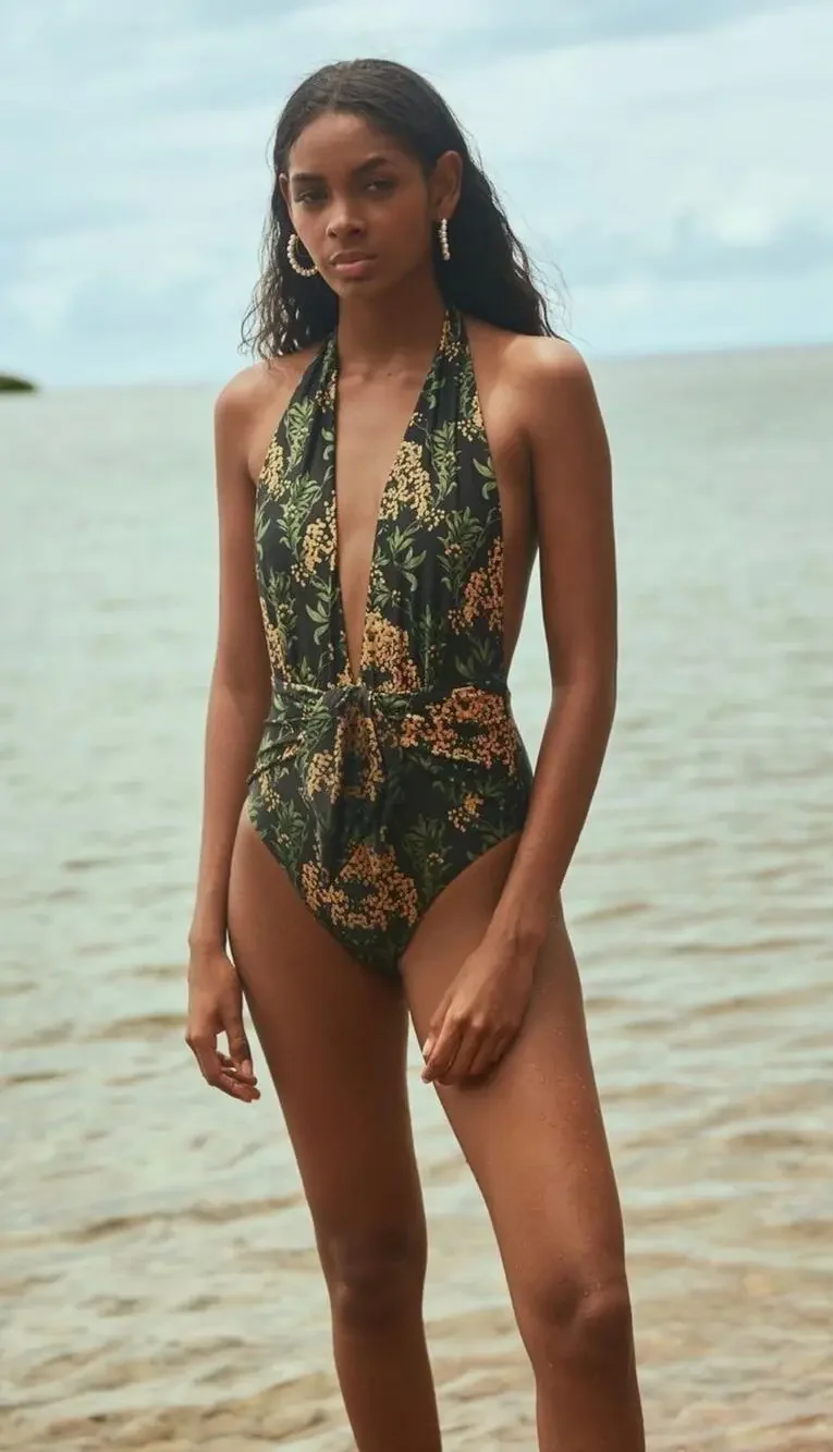 Agua Bendita one piece plunge neckline swimsuit